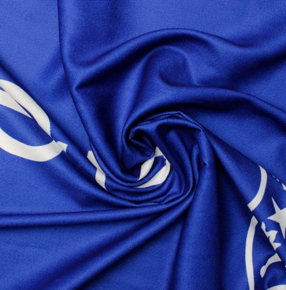 ZPB Sorority Blue Shield Fashion Shawl Scarf - Picture 5 of 5